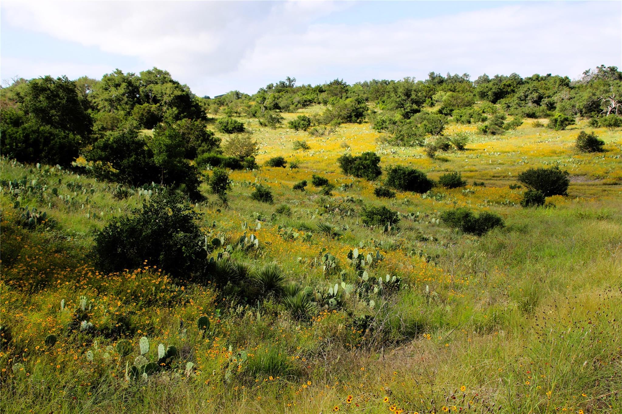 Lot 5 Comanche Rdg Property Photo 10