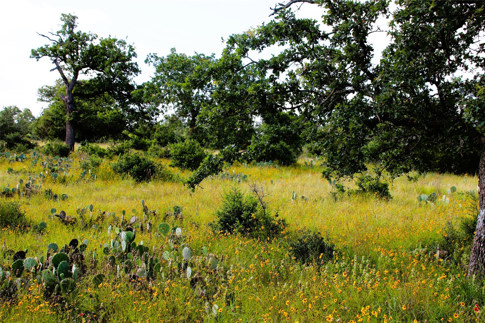 Lot 5 Comanche Rdg Property Photo 11