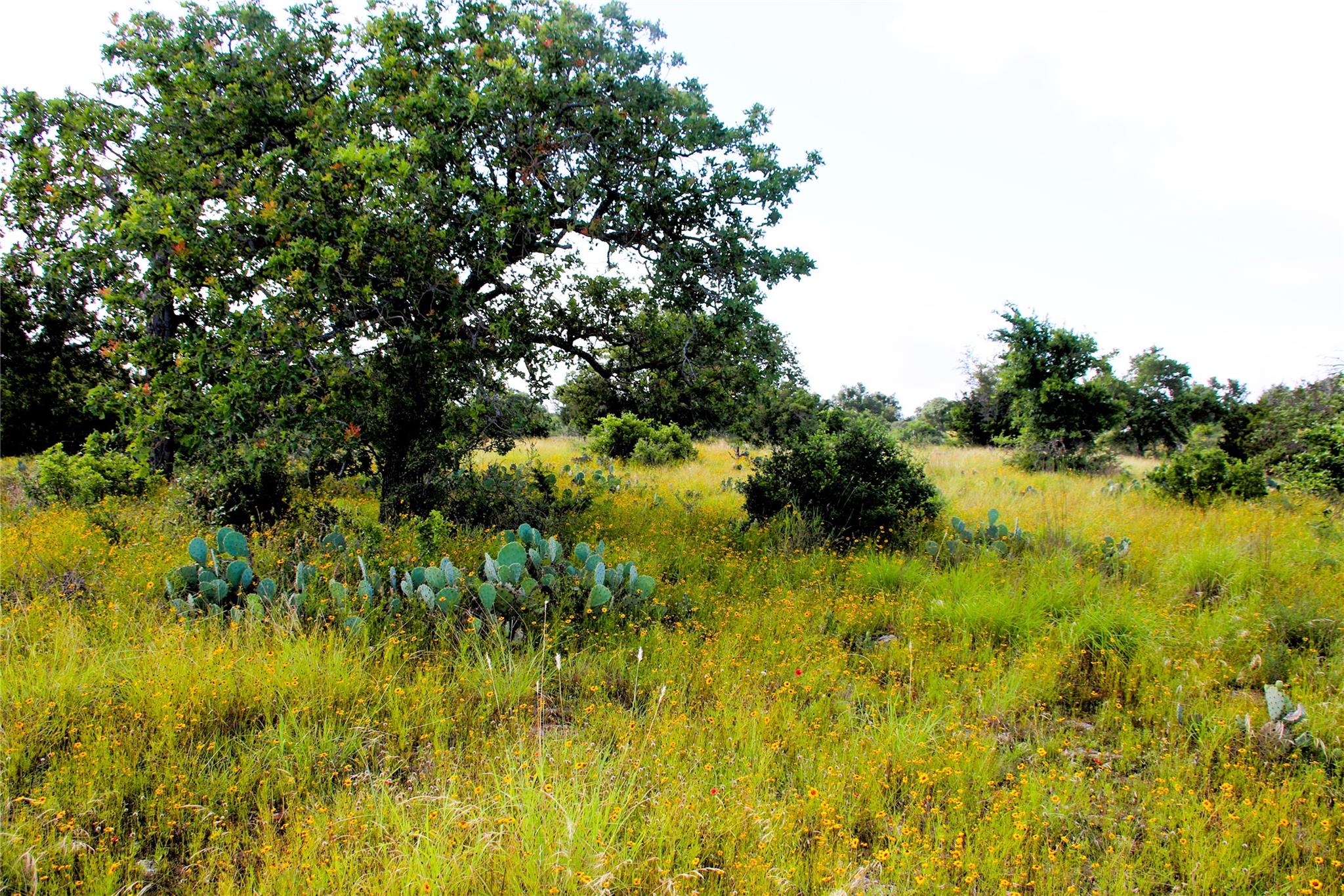 Lot 5 Comanche Rdg Property Photo 12