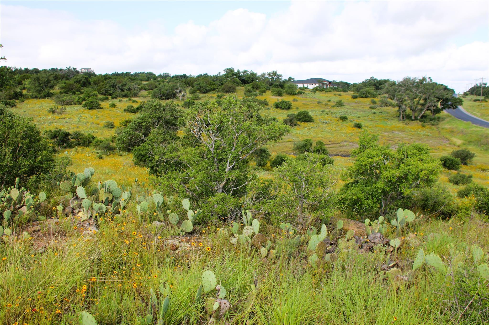Lot 5 Comanche Rdg Property Photo 13