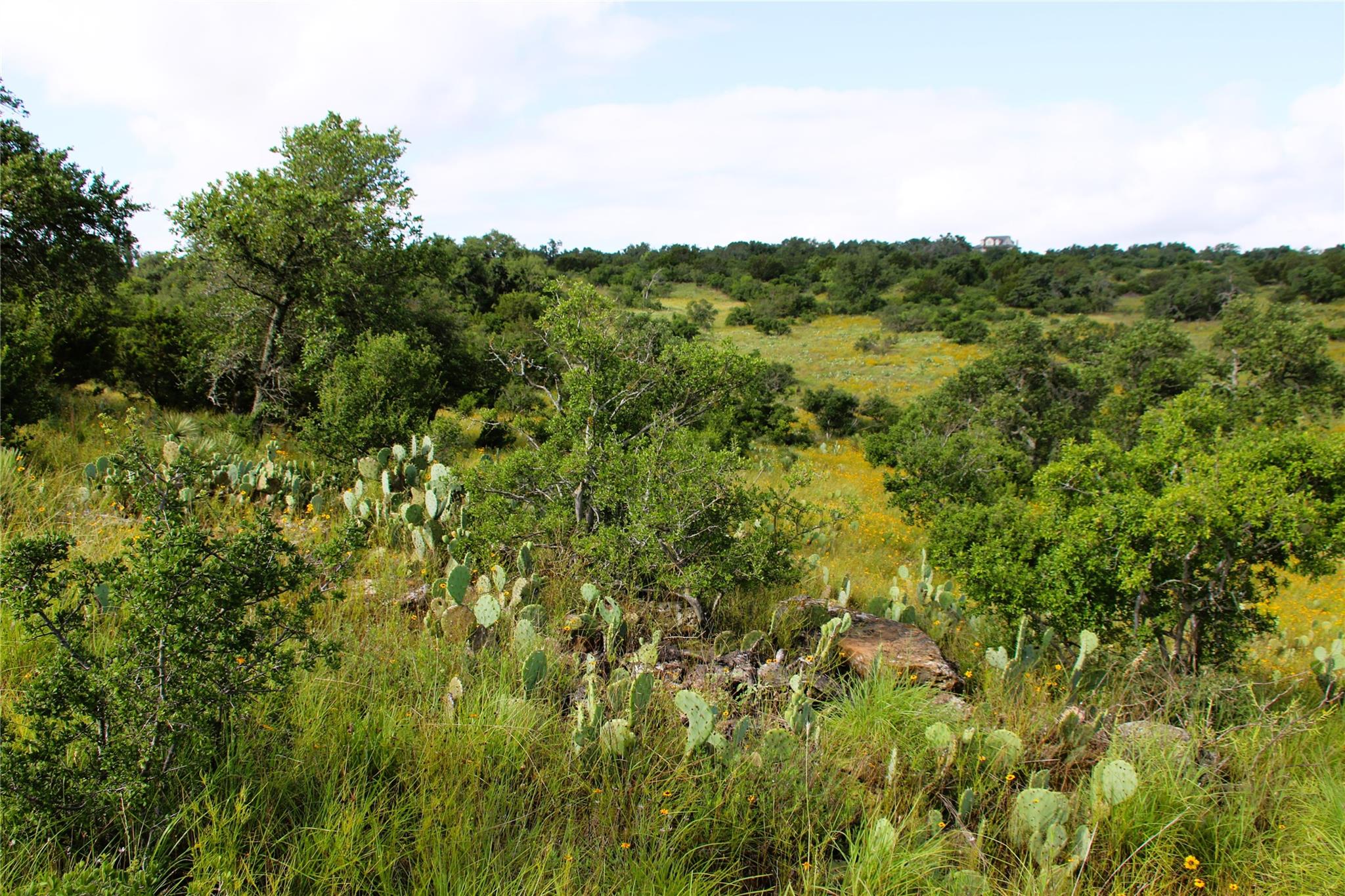 Lot 5 Comanche Rdg Property Photo 14