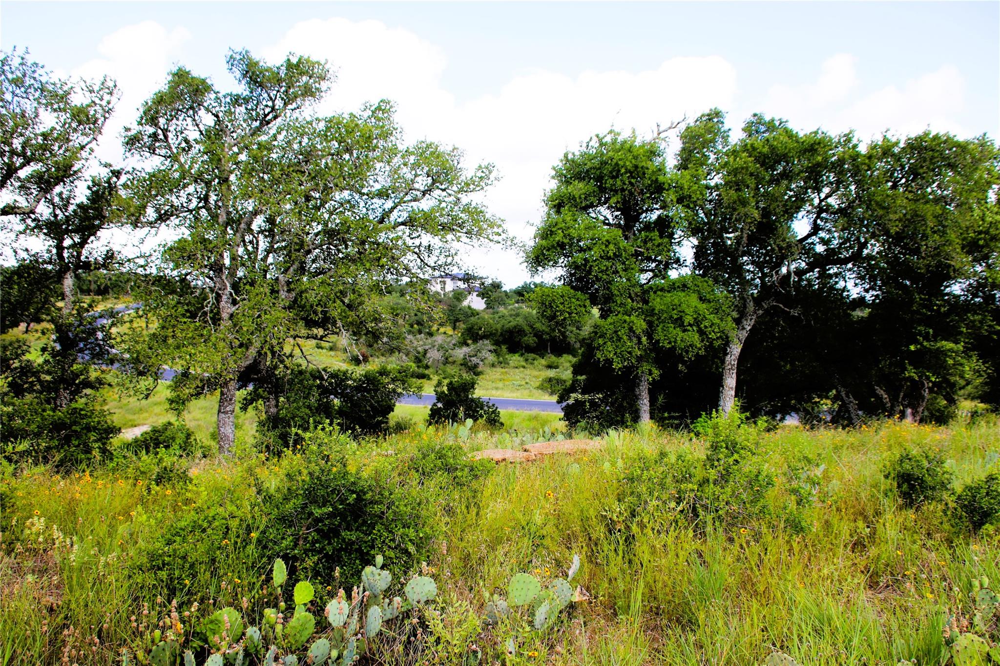 Lot 5 Comanche Rdg Property Photo 15