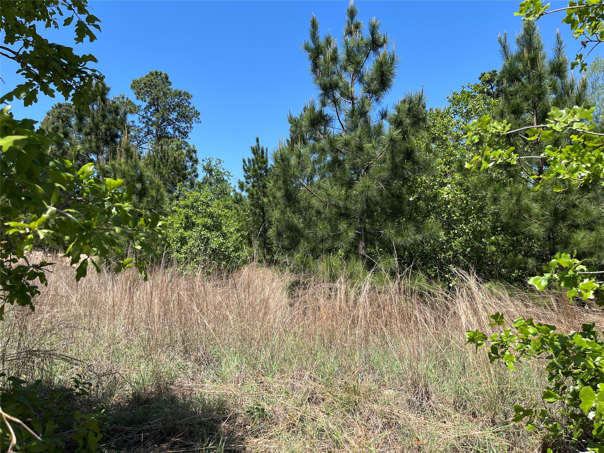 LOT 635 Mahalo CT Property Photo 1
