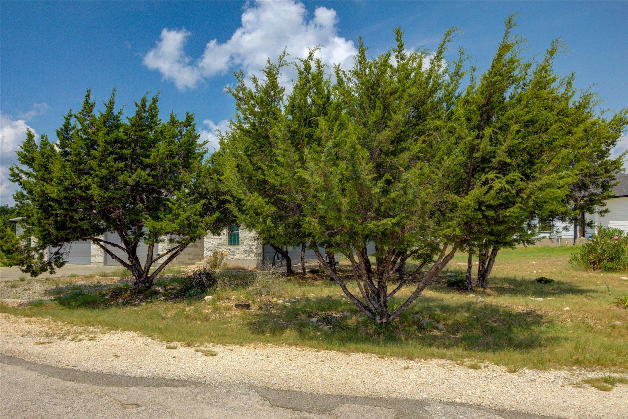 21414 Santa Carlo Ave Property Photo 30