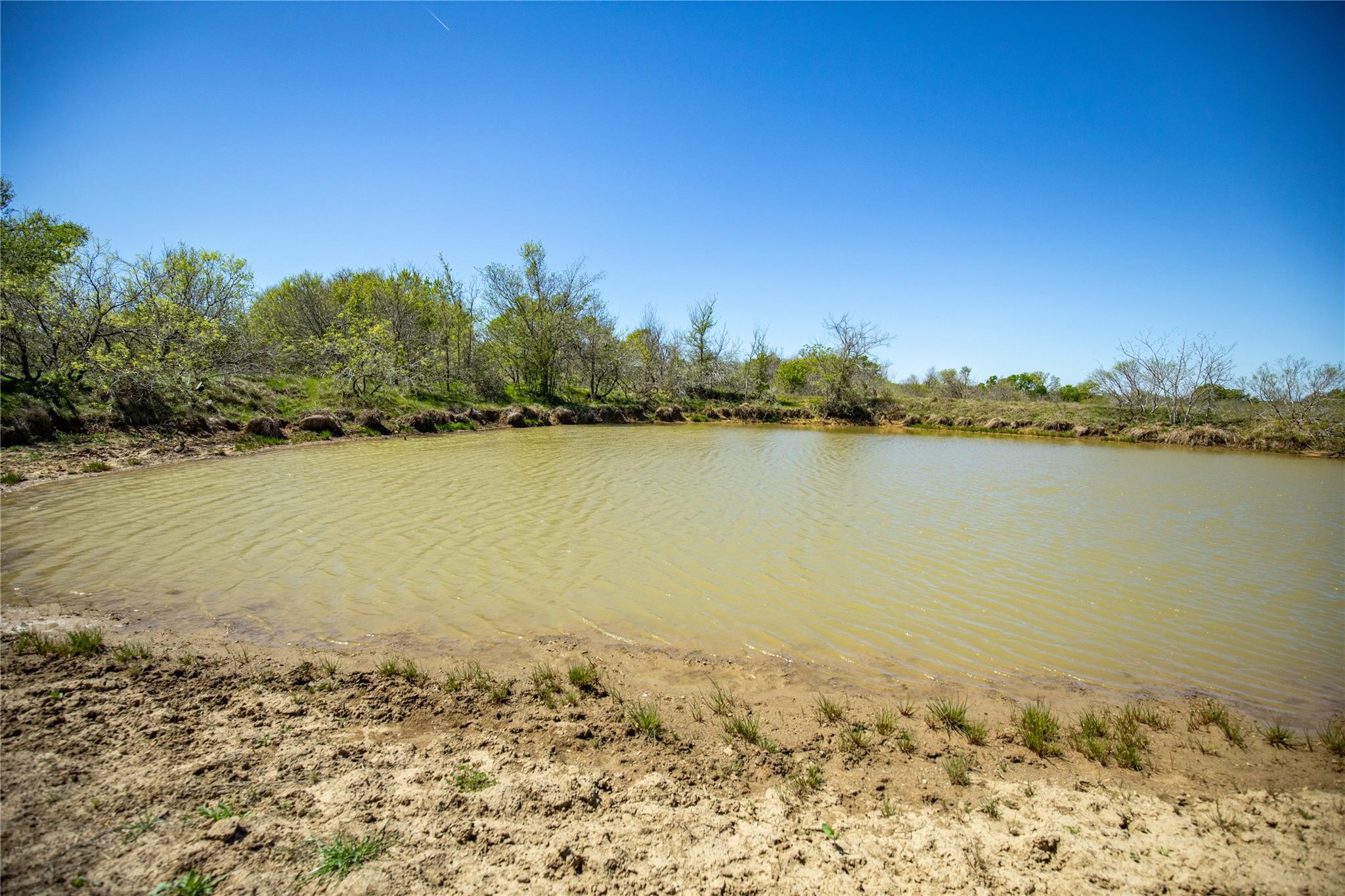 1584 Red Town Rd Property Photo 37