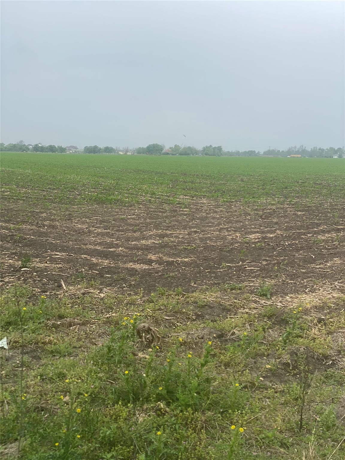 3250 Fm 1331 & County Road 415 Rd Property Photo 1