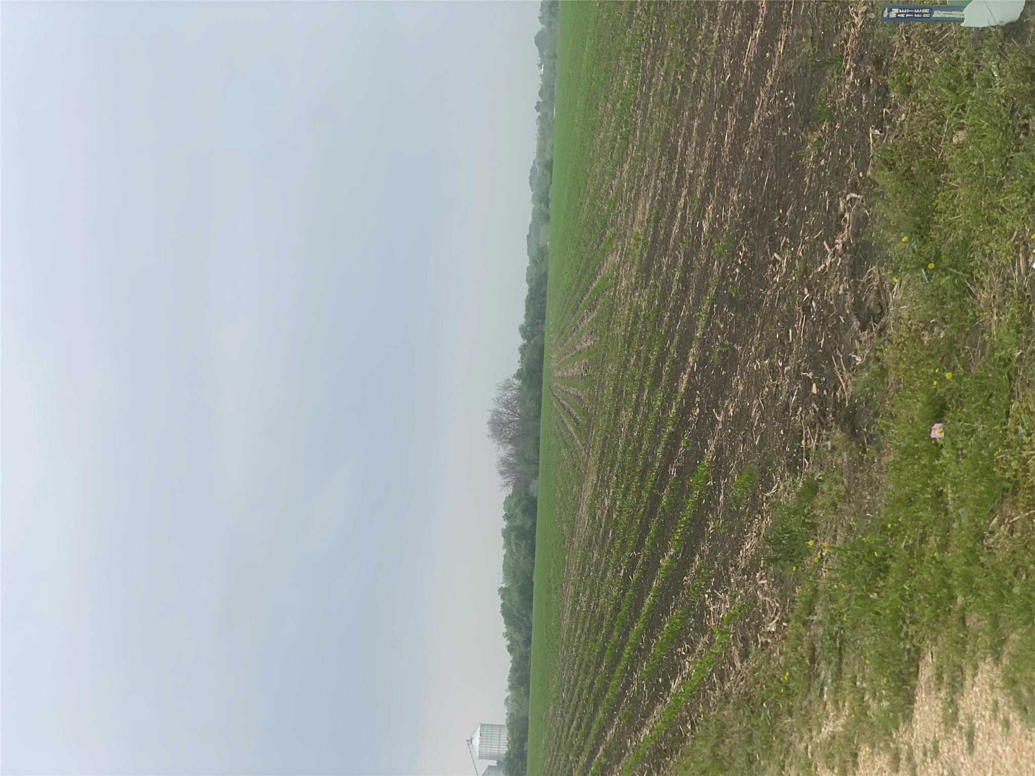 3250 Fm 1331 & County Road 415 Rd Property Photo 4