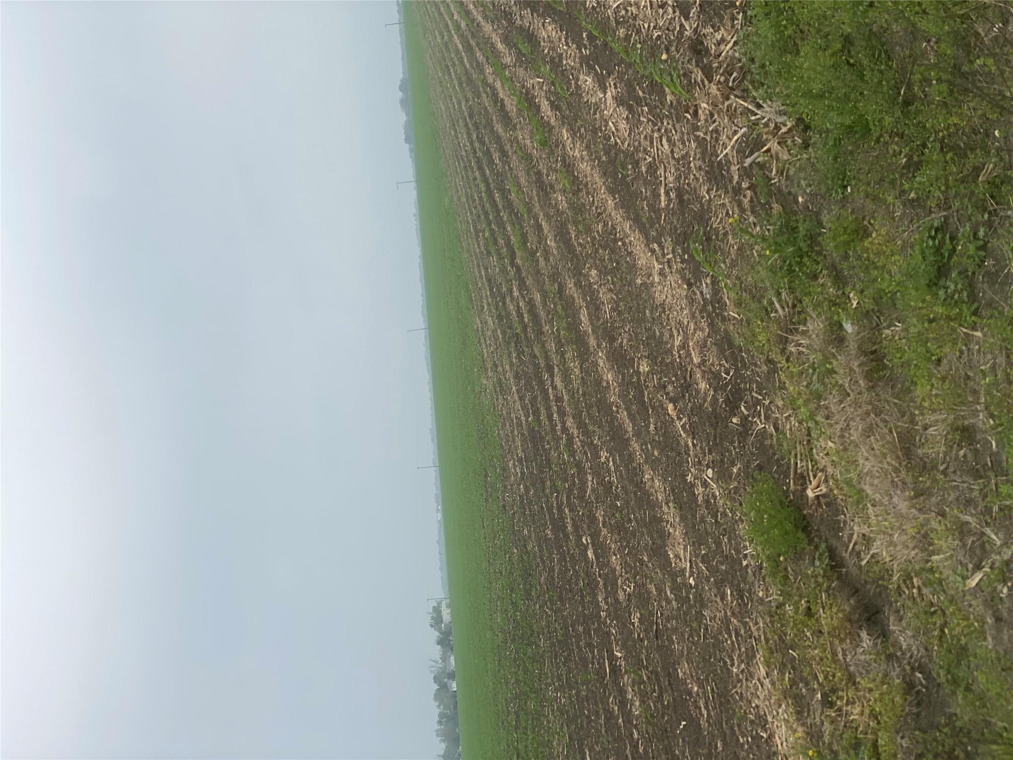 3250 Fm 1331 & County Road 415 Rd Property Photo 5