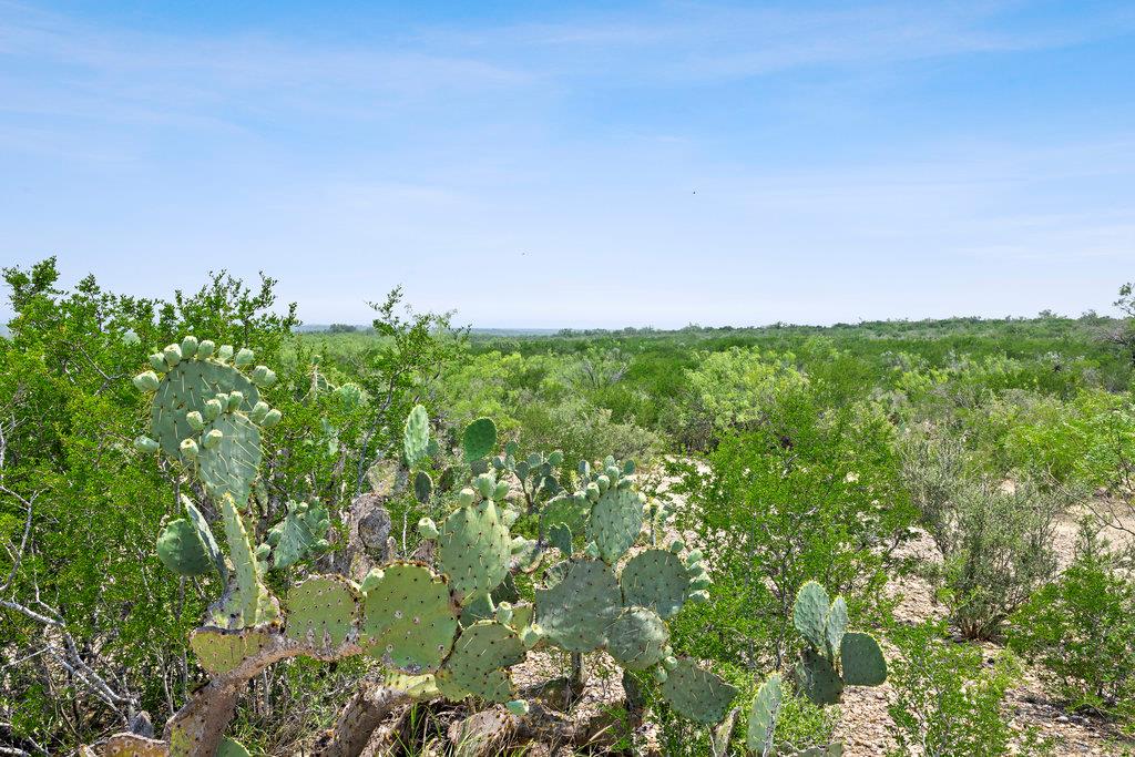 000 Hwy 16 None Property Photo 5