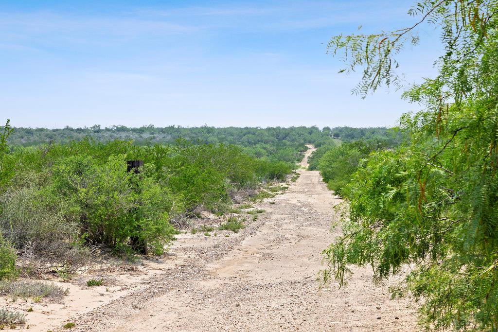 000 Hwy 16 None Property Photo 8