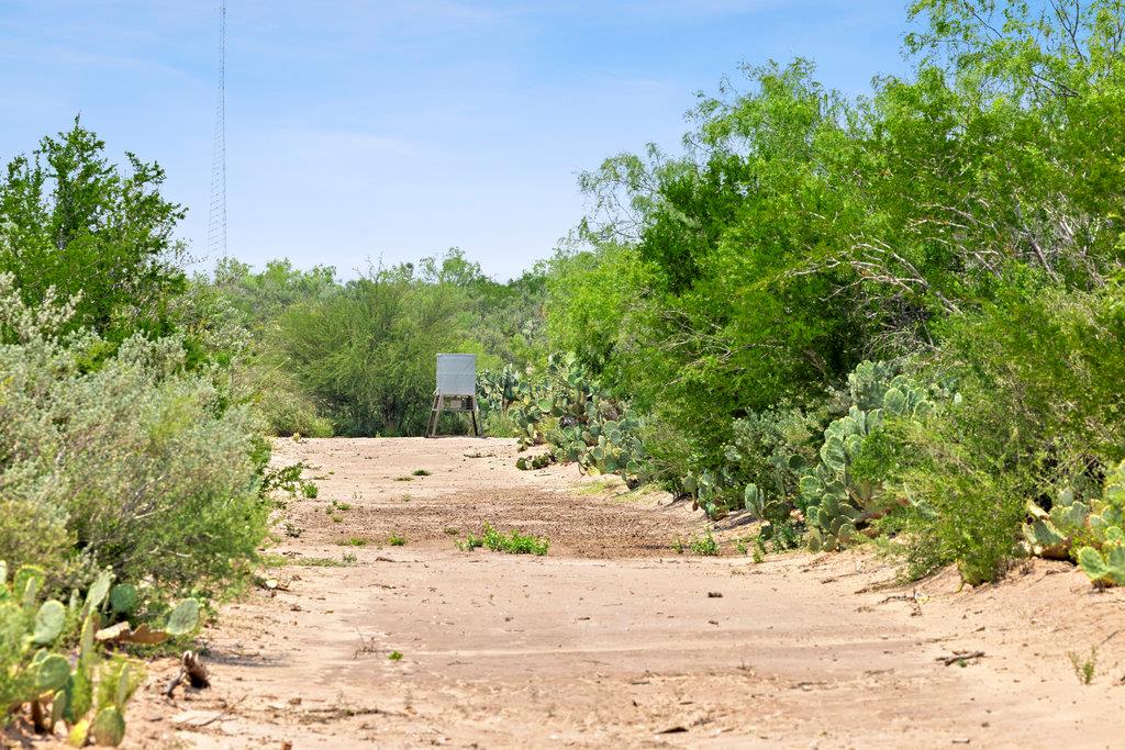 000 Hwy 16 None Property Photo 12