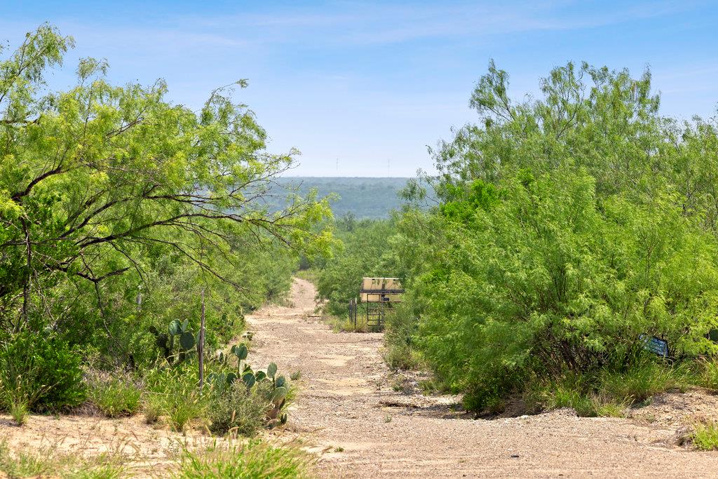 000 Hwy 16 None Property Photo 14