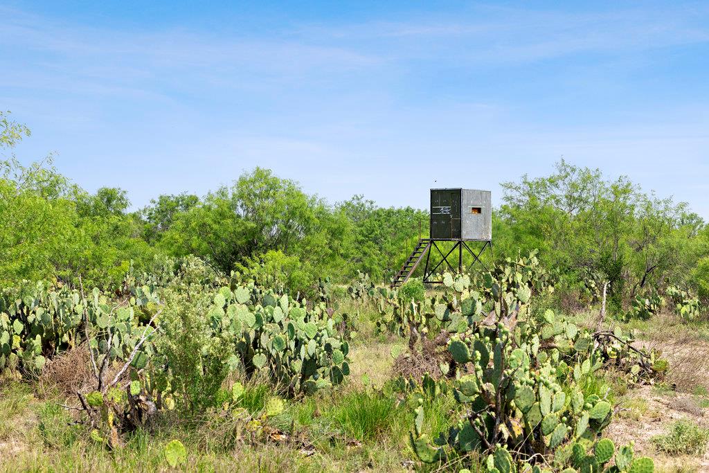 000 Hwy 16 None Property Photo 23