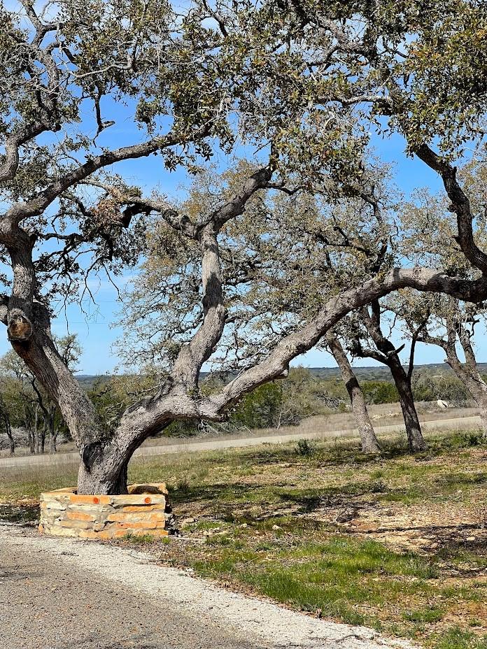Tbd Windmill Ridge Dr Property Photo 8