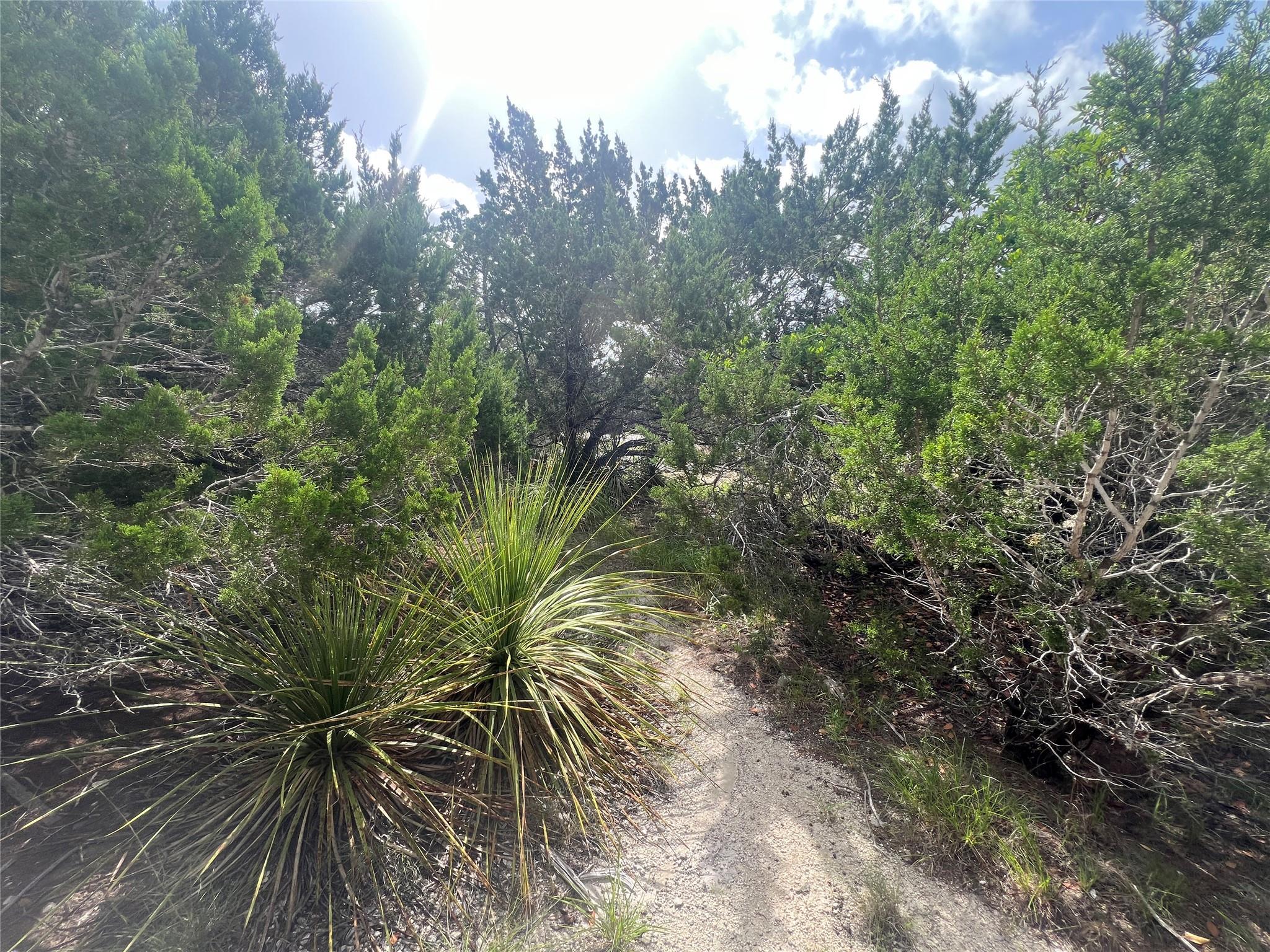 268 Scenic Hills Dr Property Photo 4