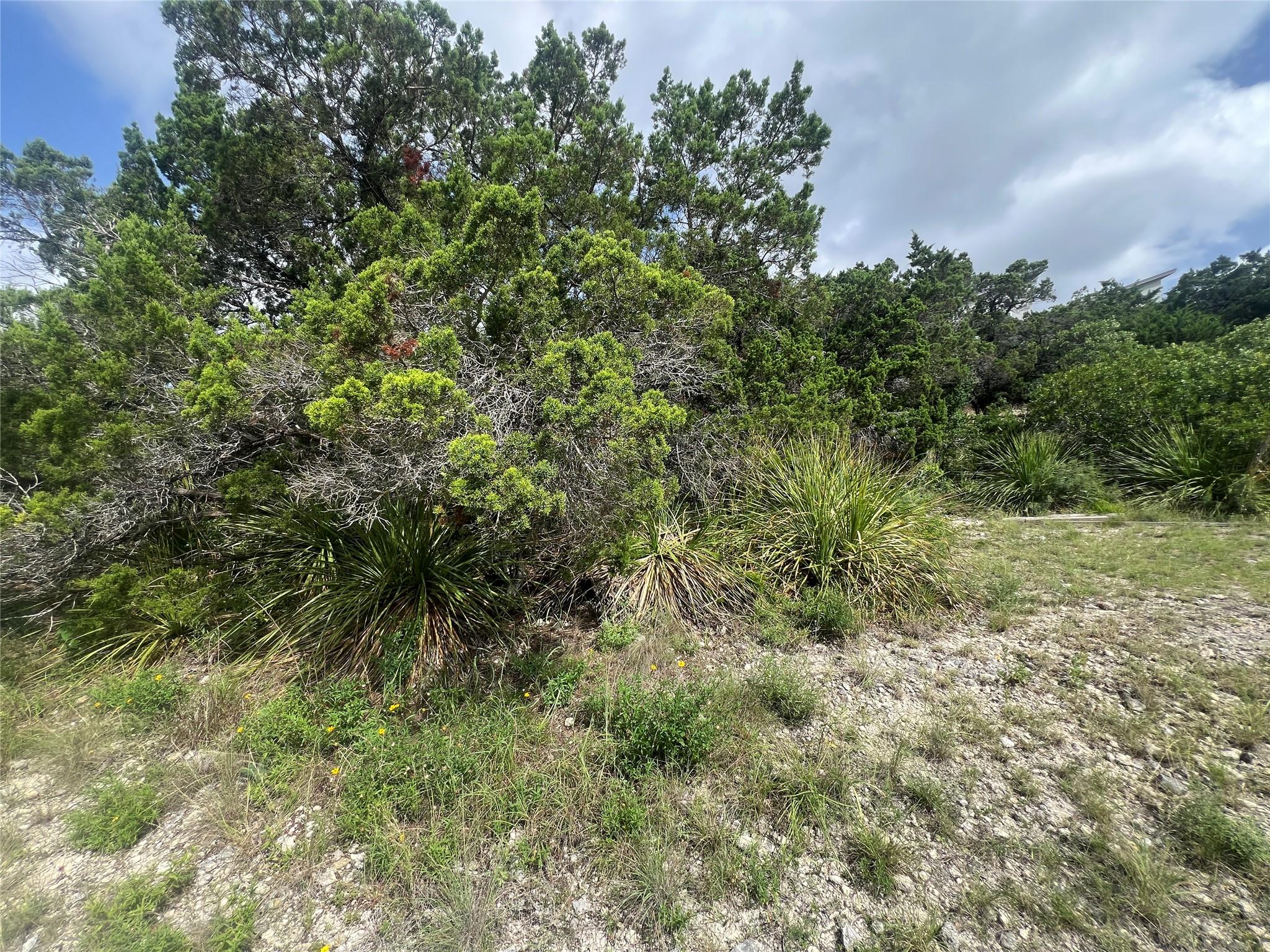 268 Scenic Hills Dr Property Photo 6