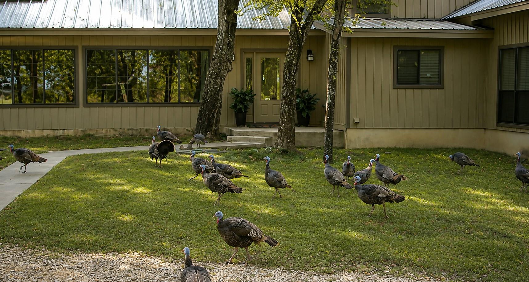 7507487 Property Photo 11