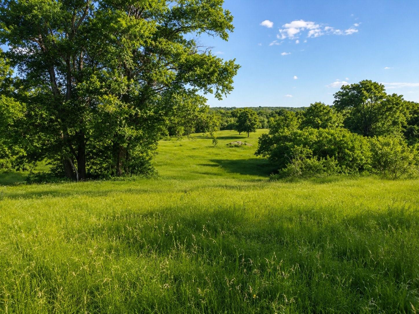 7507487 Property Photo 22