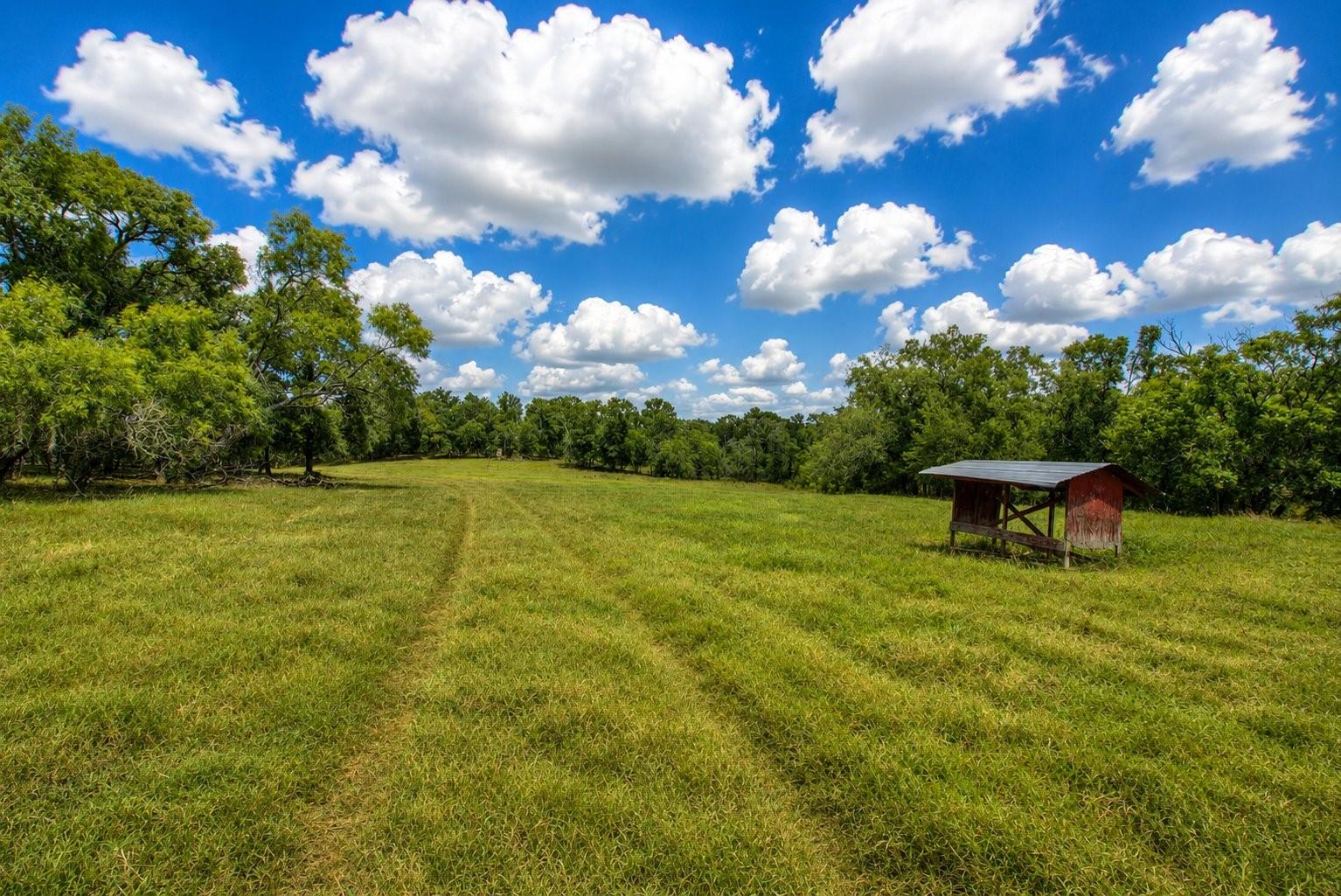 7507487 Property Photo 23