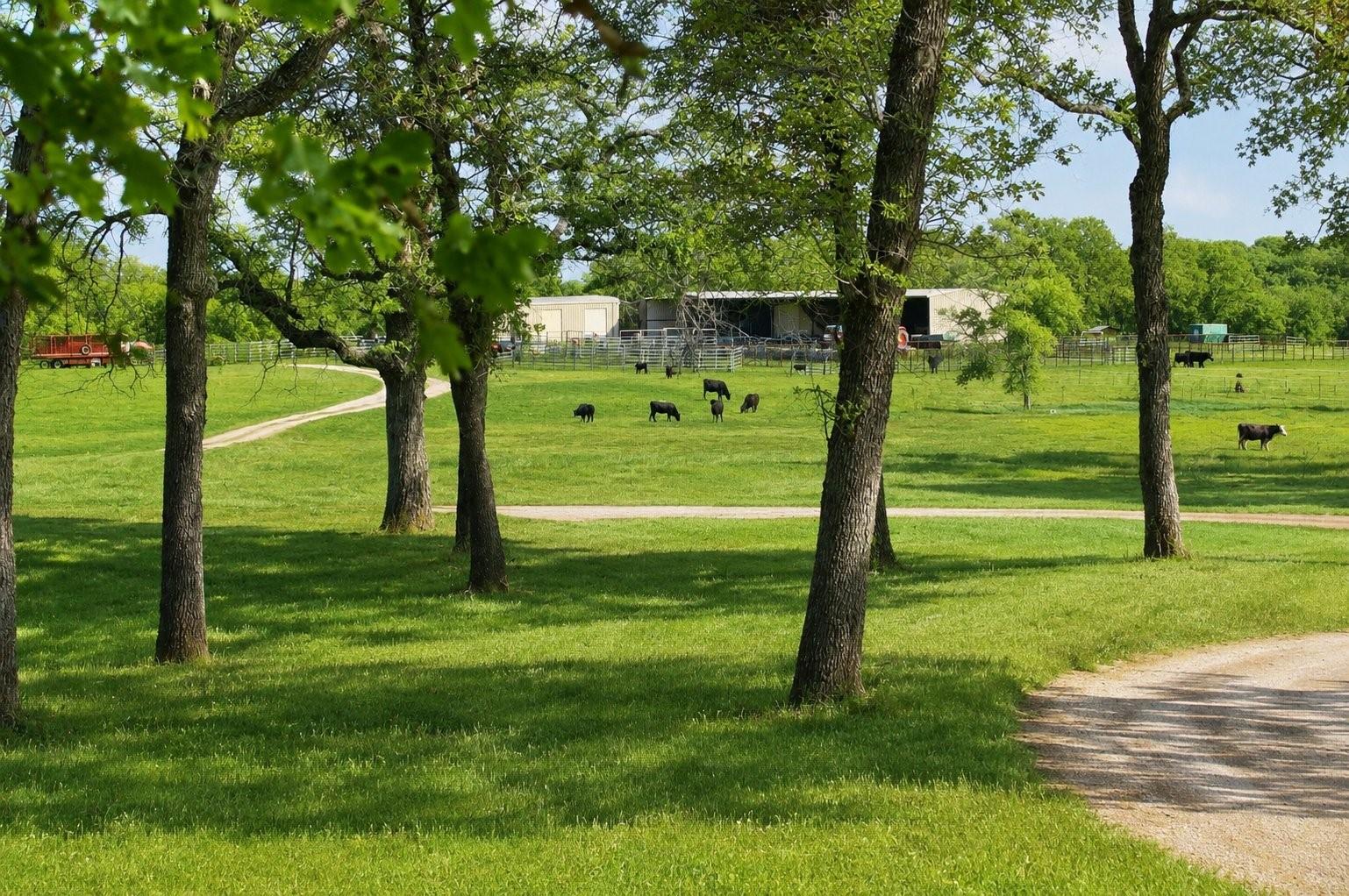 7507487 Property Photo 25