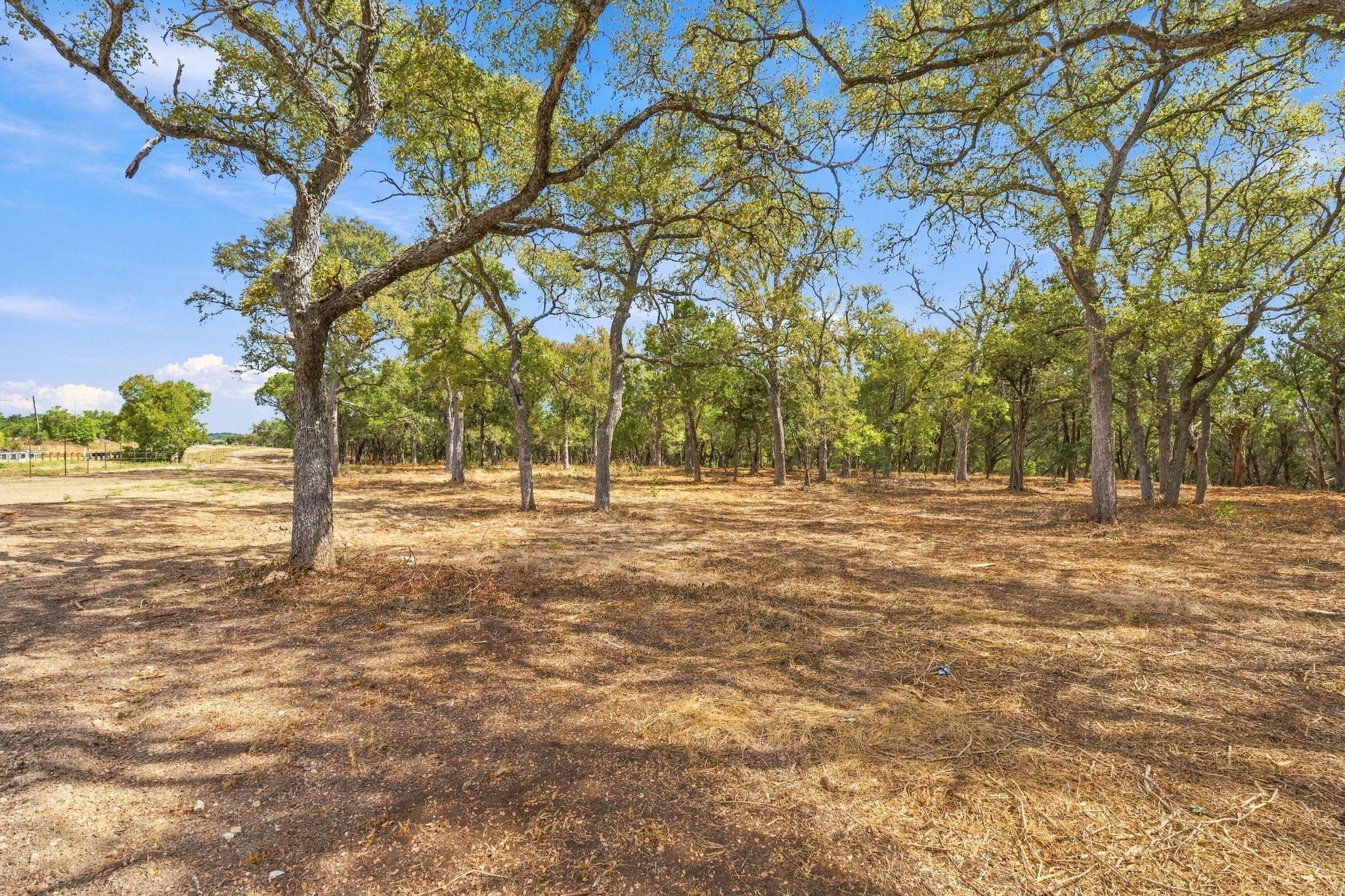 Tbd Fm 150 None Property Photo 5