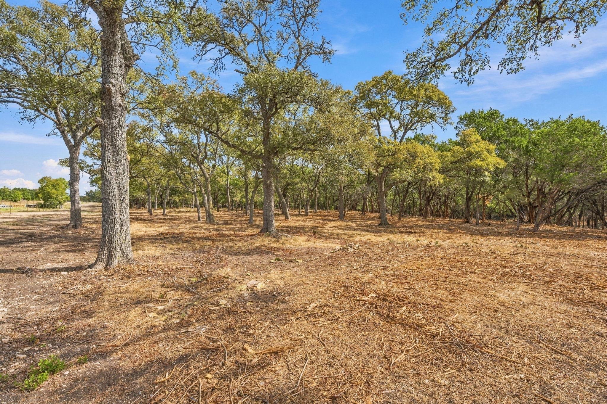 Tbd Fm 150 None Property Photo 6