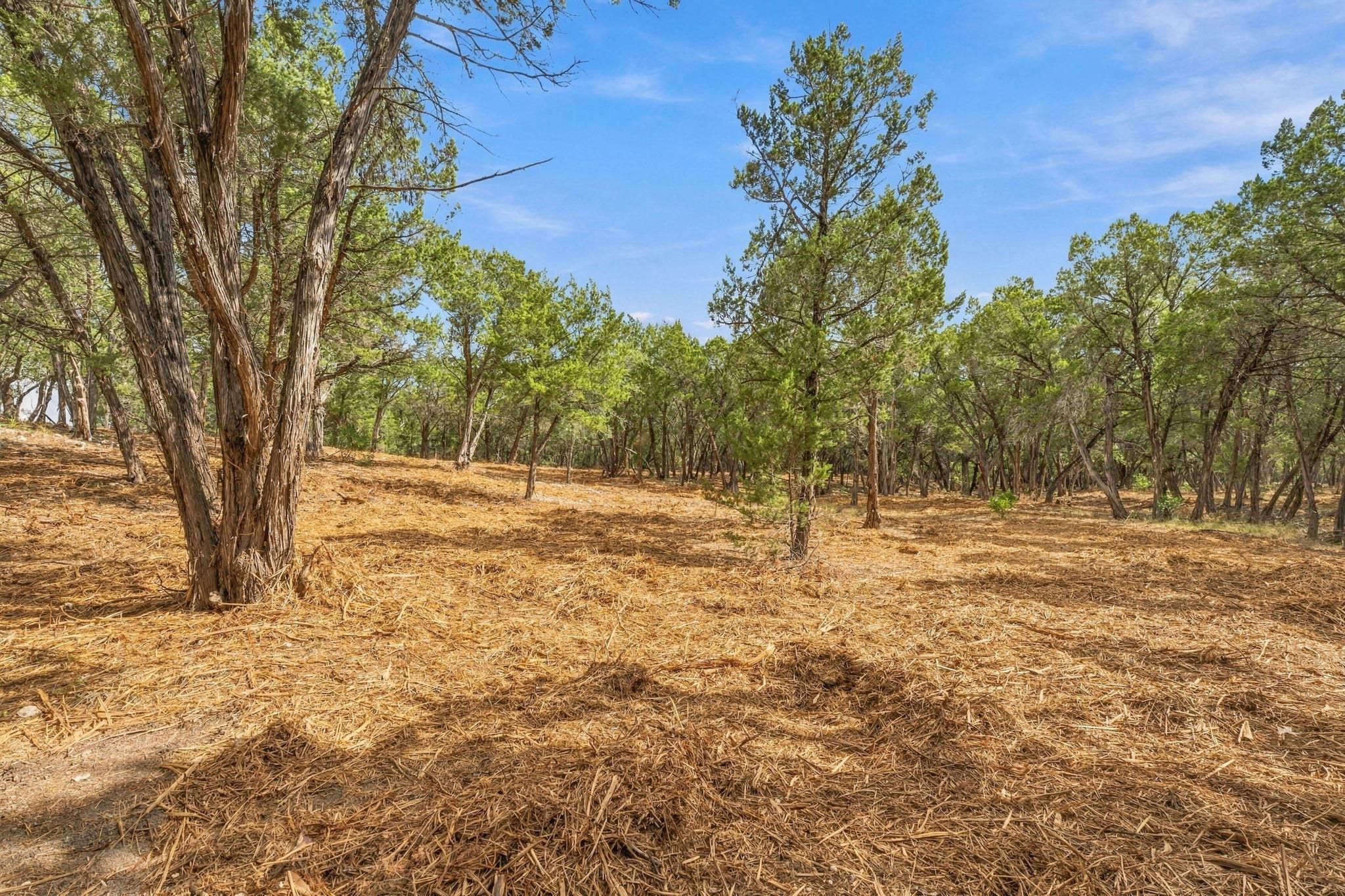 Tbd Fm 150 None Property Photo 8