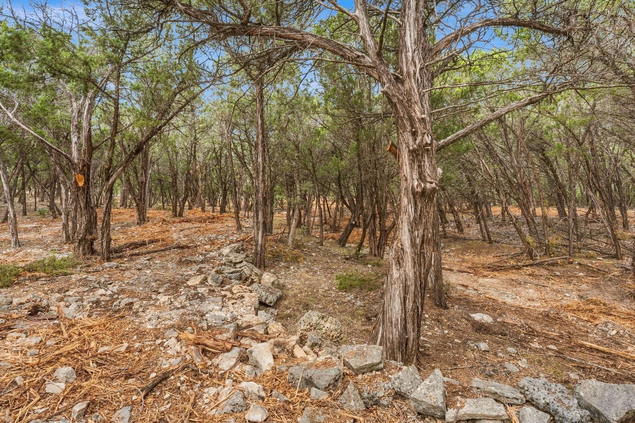 Tbd Fm 150 None Property Photo 9