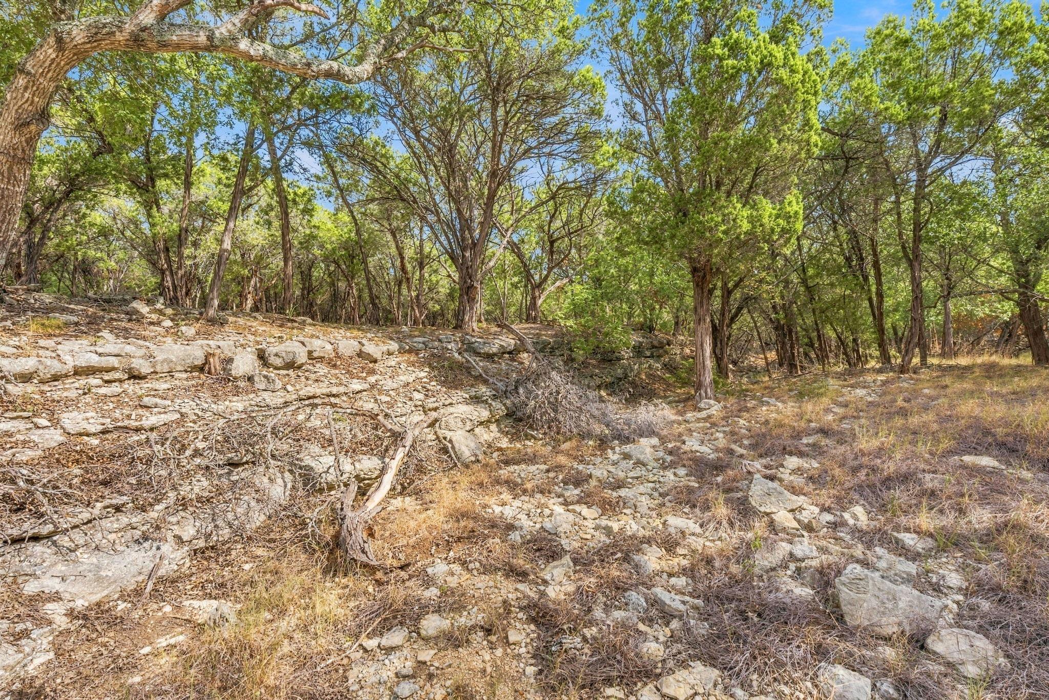 Tbd Fm 150 None Property Photo 10