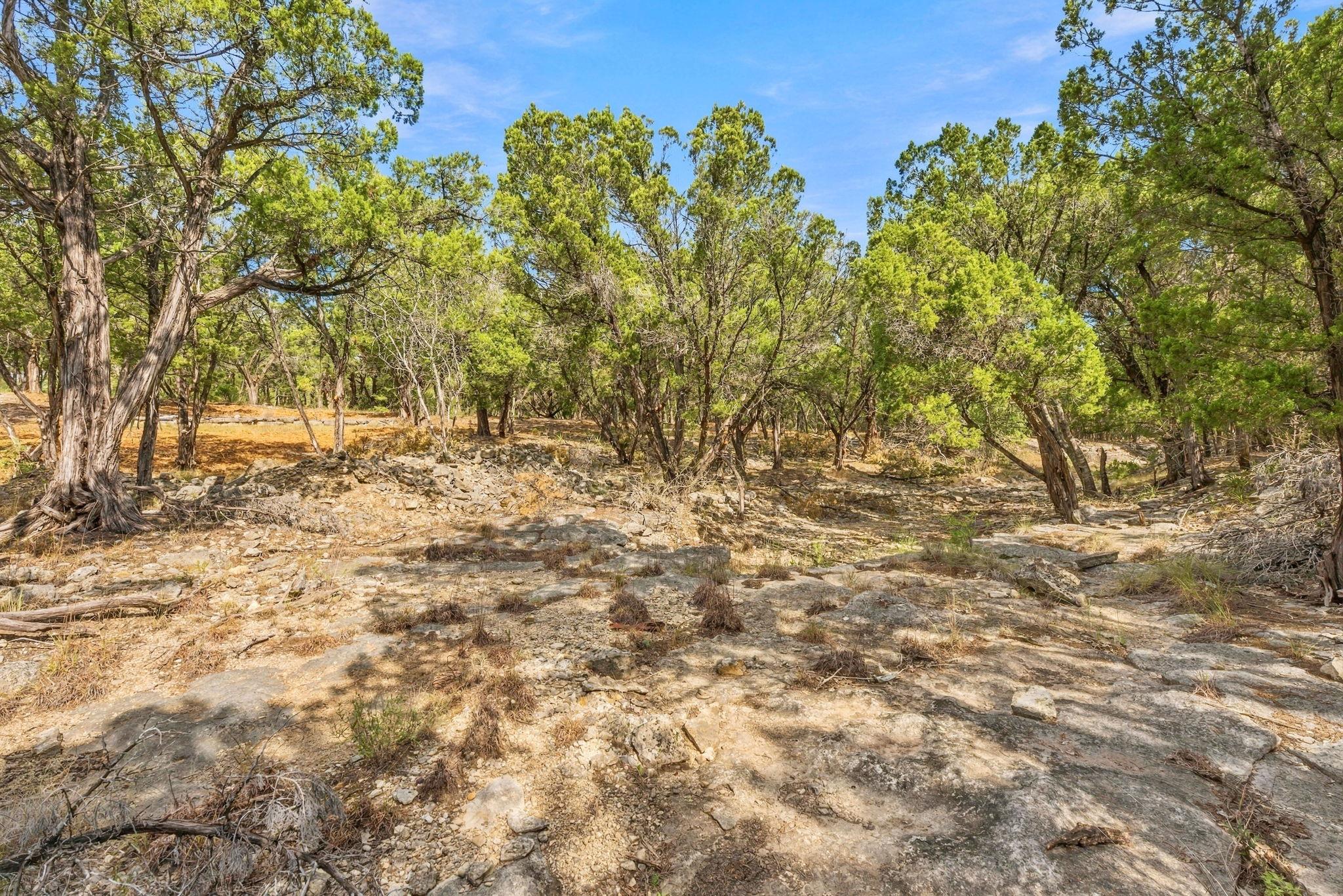 Tbd Fm 150 None Property Photo 11