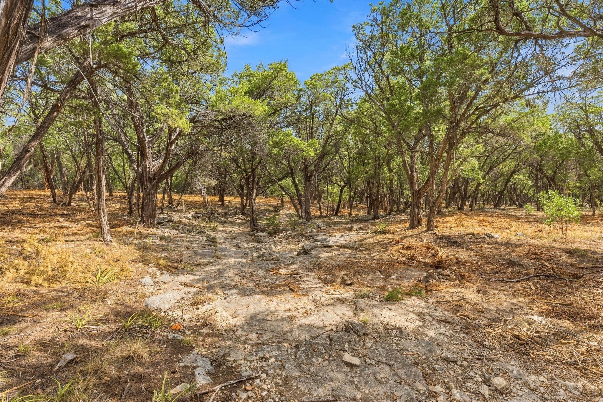 Tbd Fm 150 None Property Photo 12