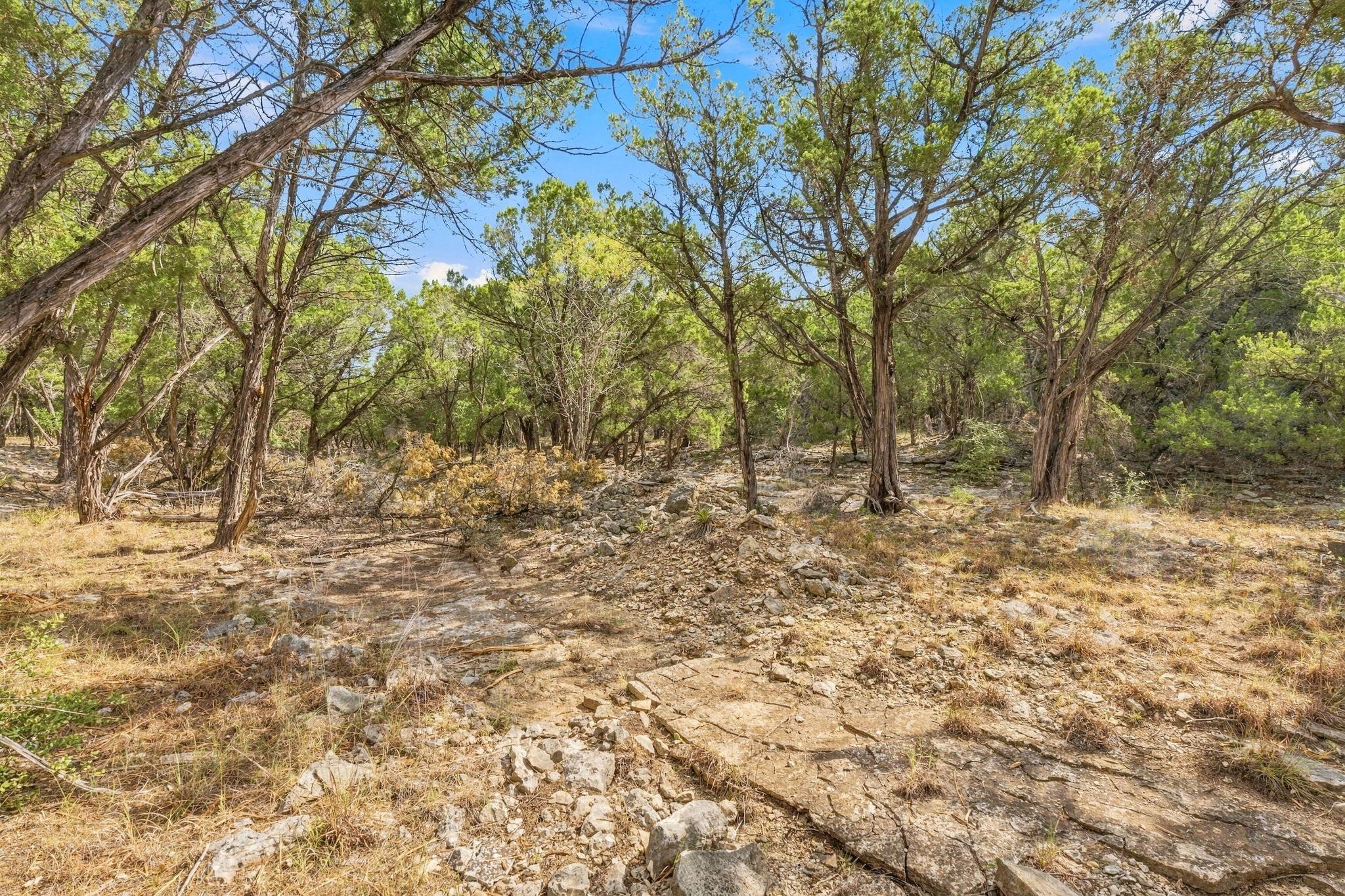 Tbd Fm 150 None Property Photo 14