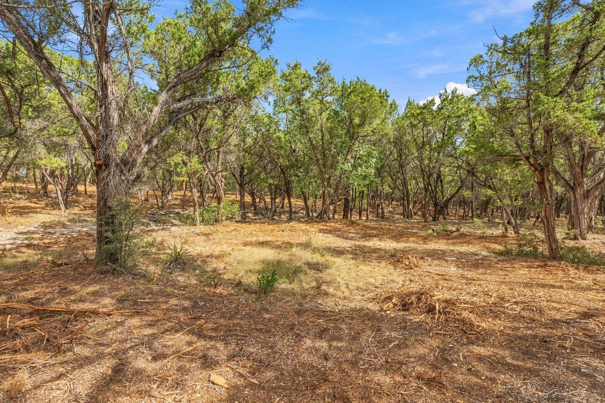Tbd Fm 150 None Property Photo 15