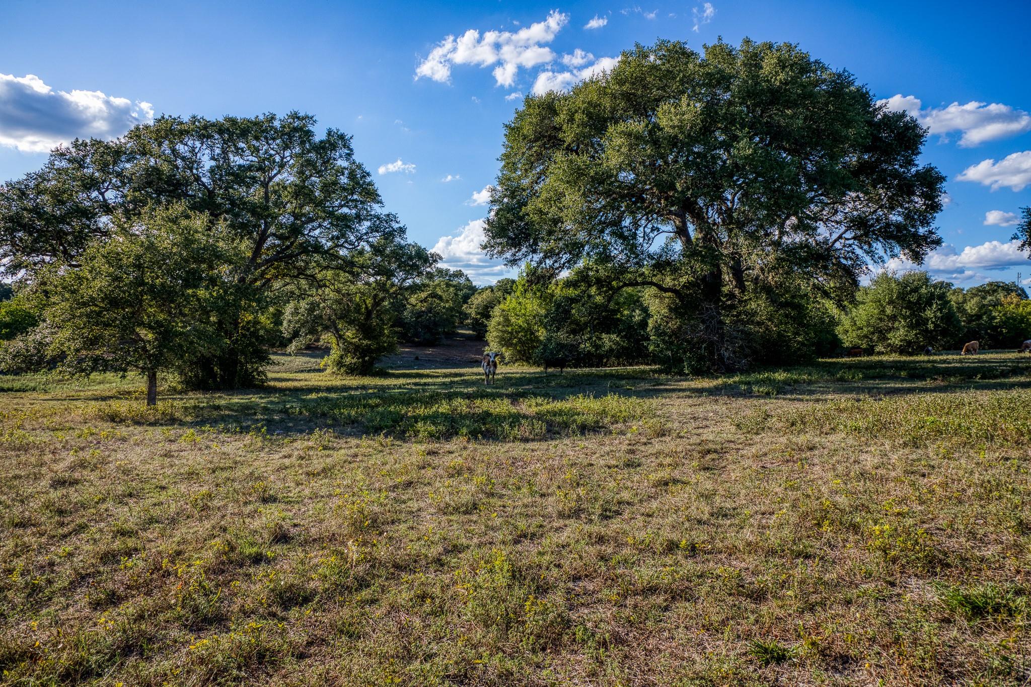 Tbd Bauer Rd Property Photo 11