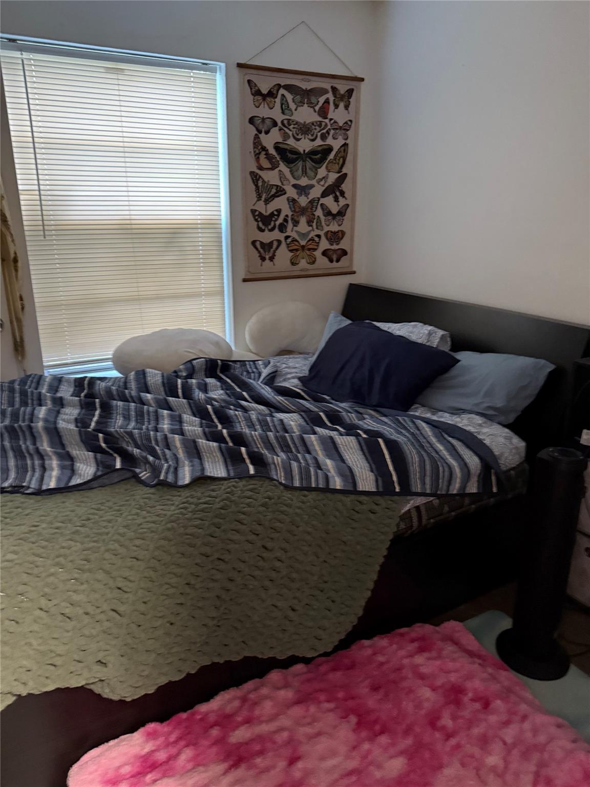 4709 Hawk Cove Property Photo 5