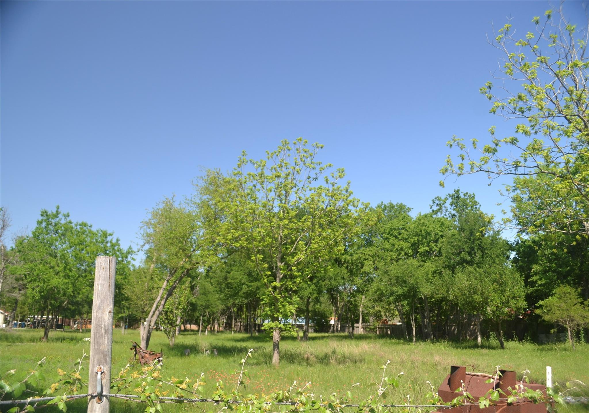 699 Tbd Q S Goins Ln Property Photo 1