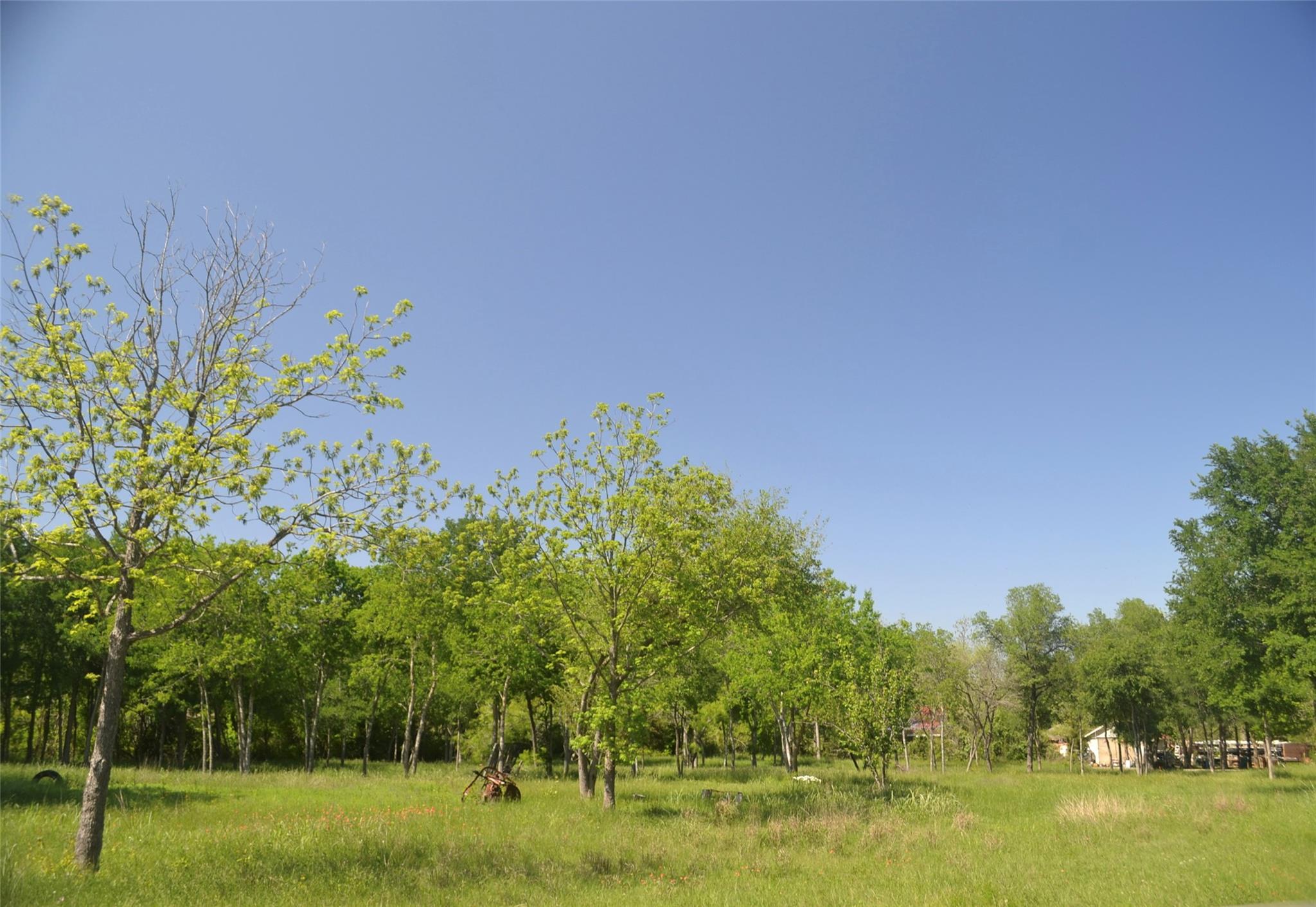 699 Tbd Q S Goins Ln Property Photo 2