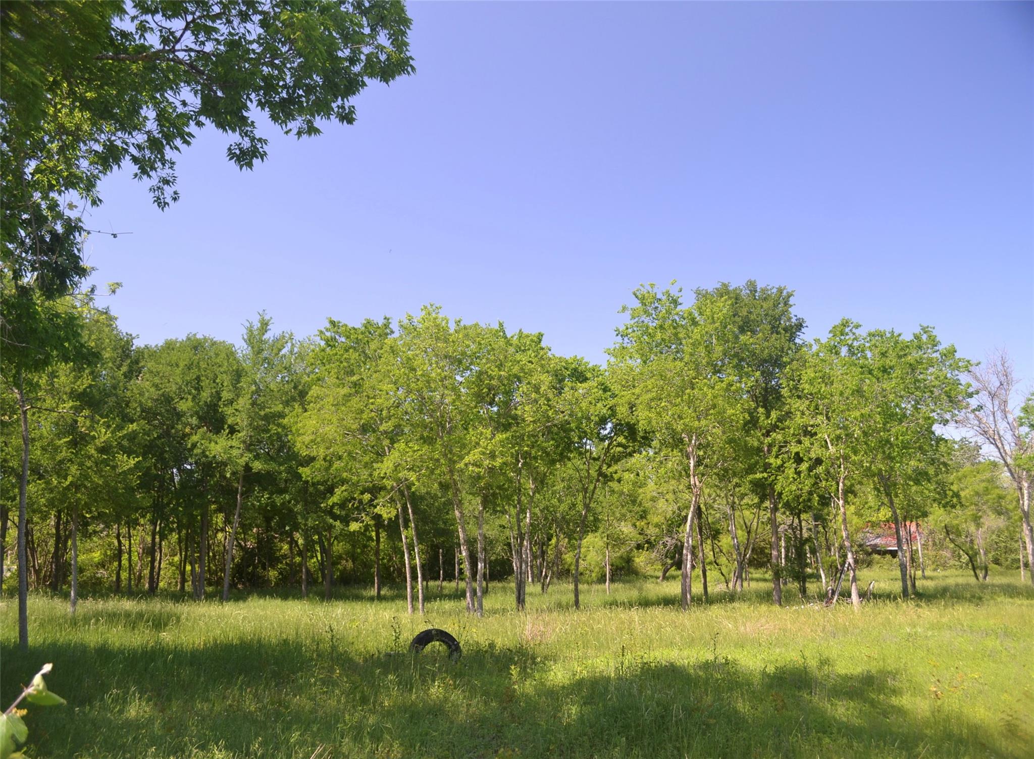 699 Tbd Q S Goins Ln Property Photo 3