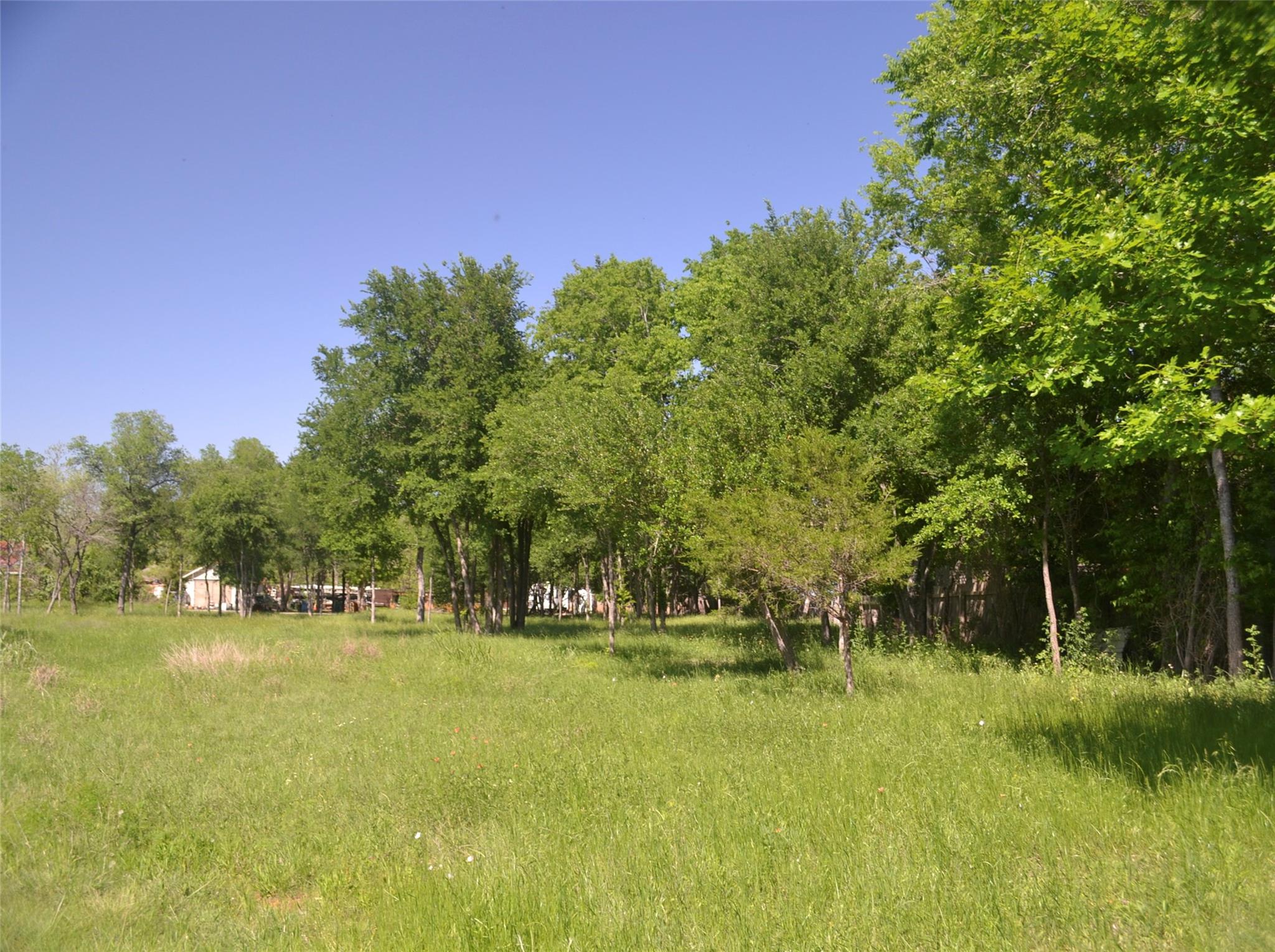 699 Tbd Q S Goins Ln Property Photo 4