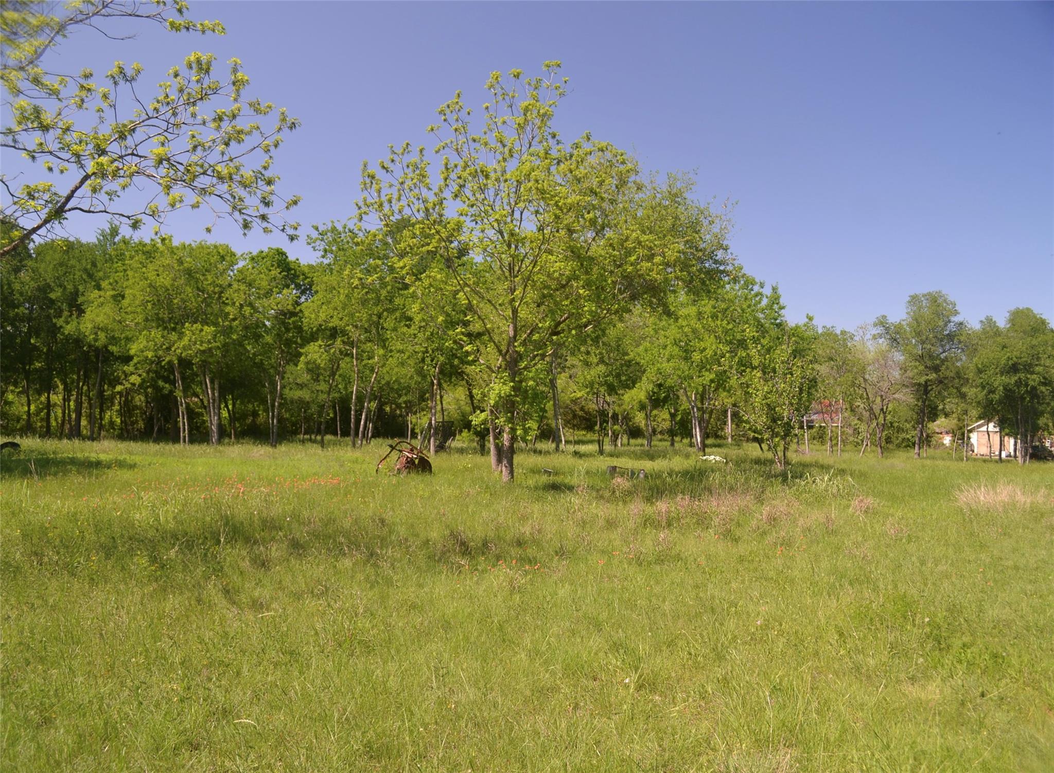 699 Tbd Q S Goins Ln Property Photo 5