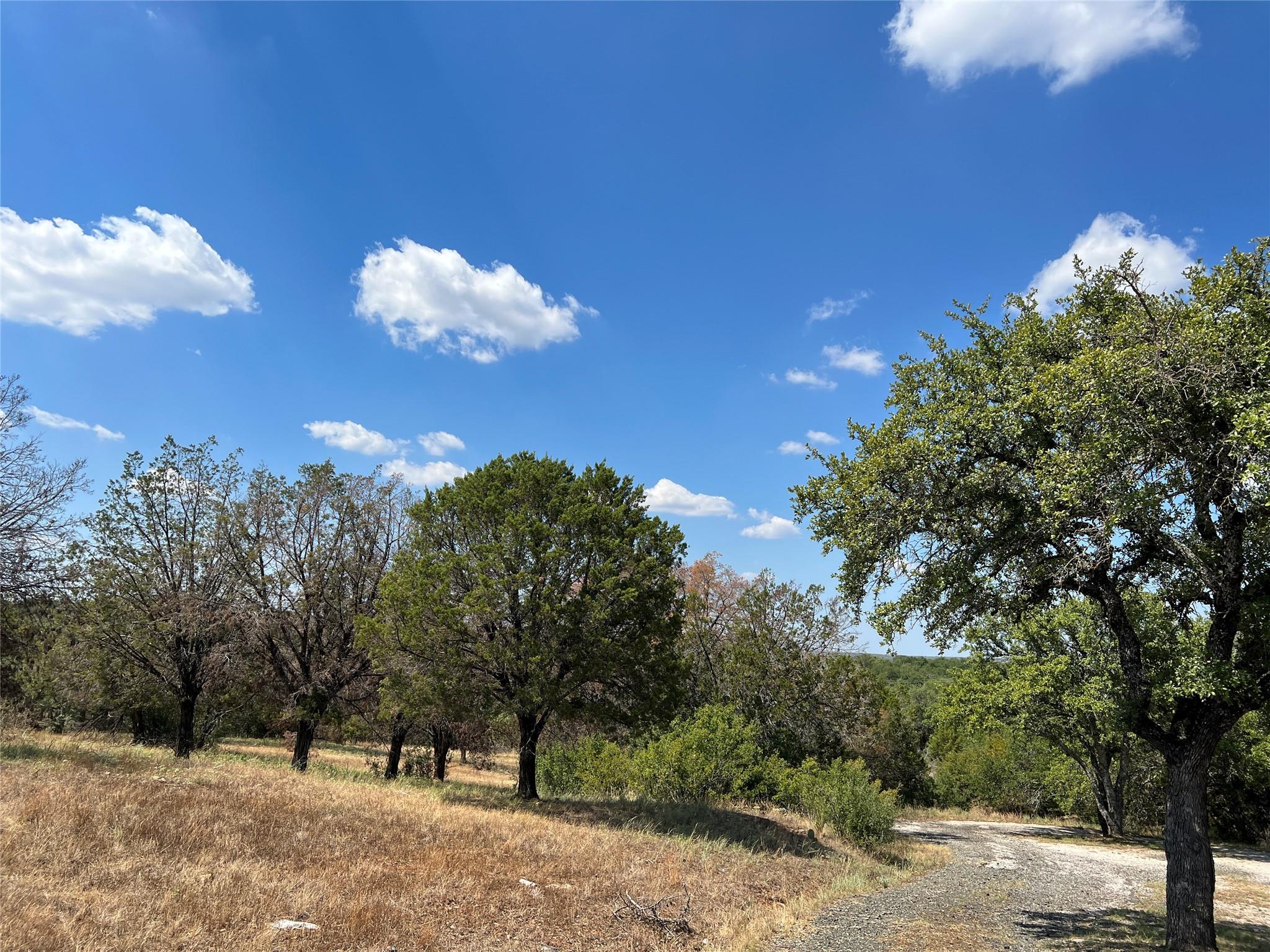 106 Iron Horse Property Photo 8