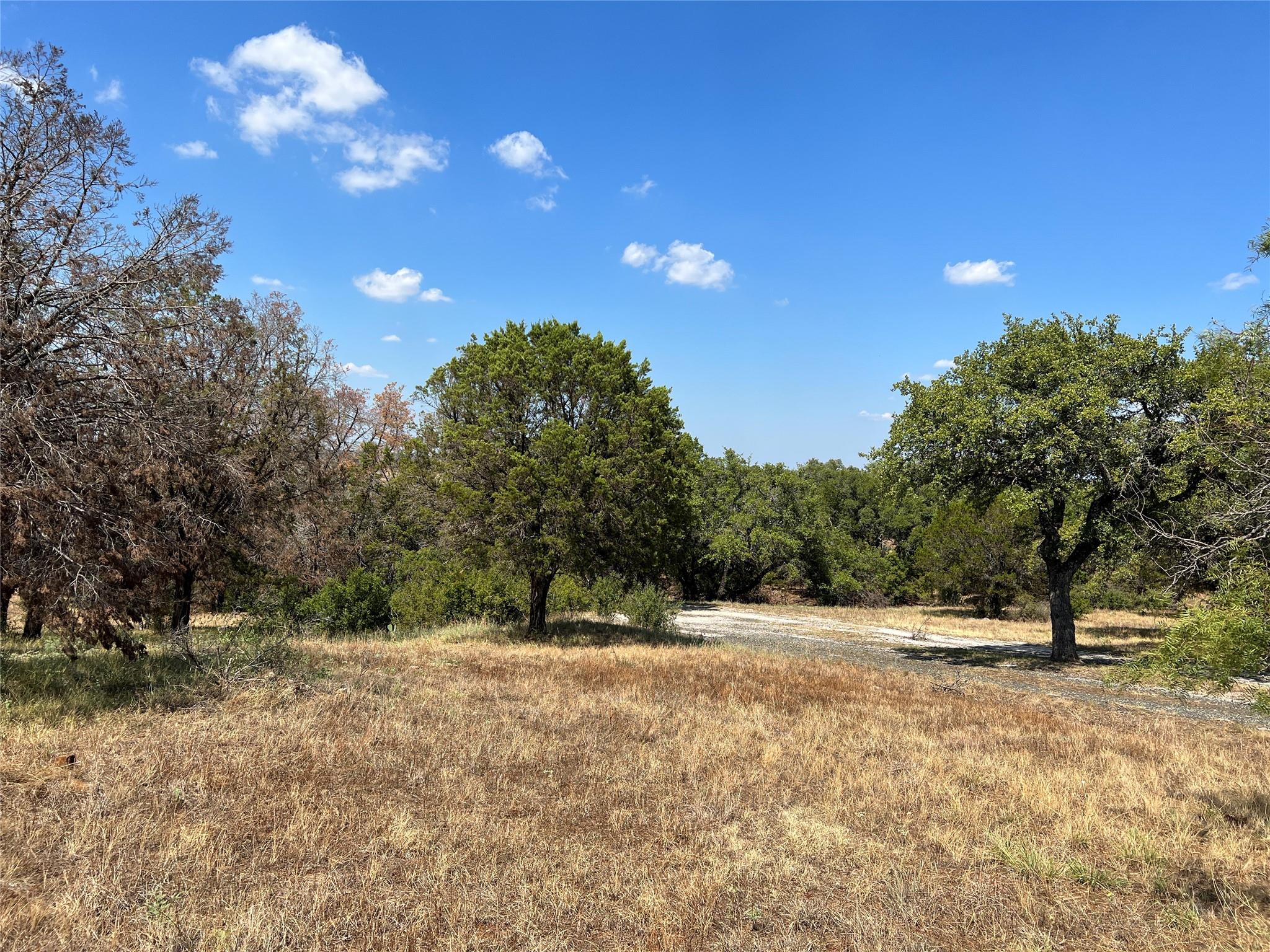 106 Iron Horse Property Photo 10