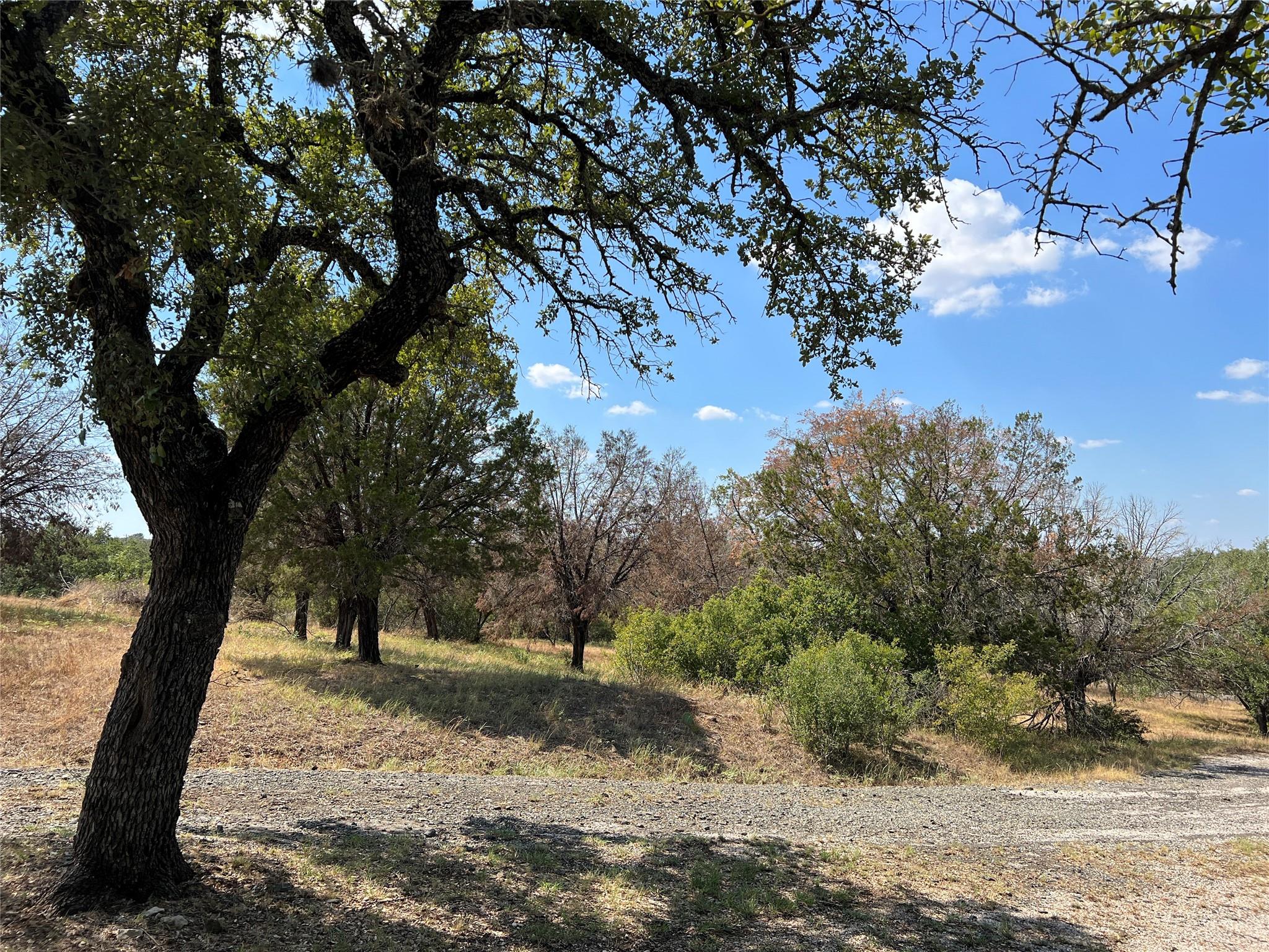 106 Iron Horse Property Photo 16