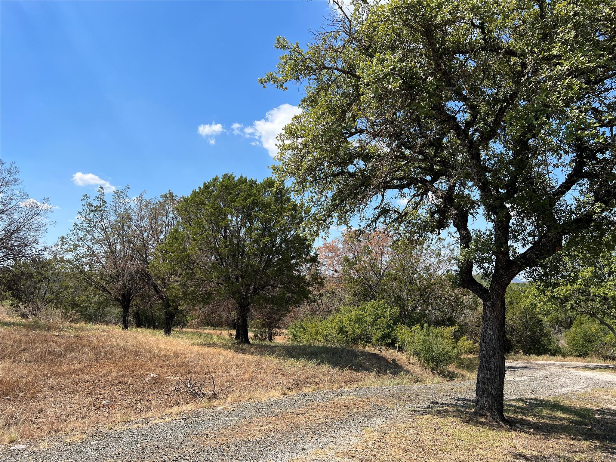 106 Iron Horse Property Photo 17
