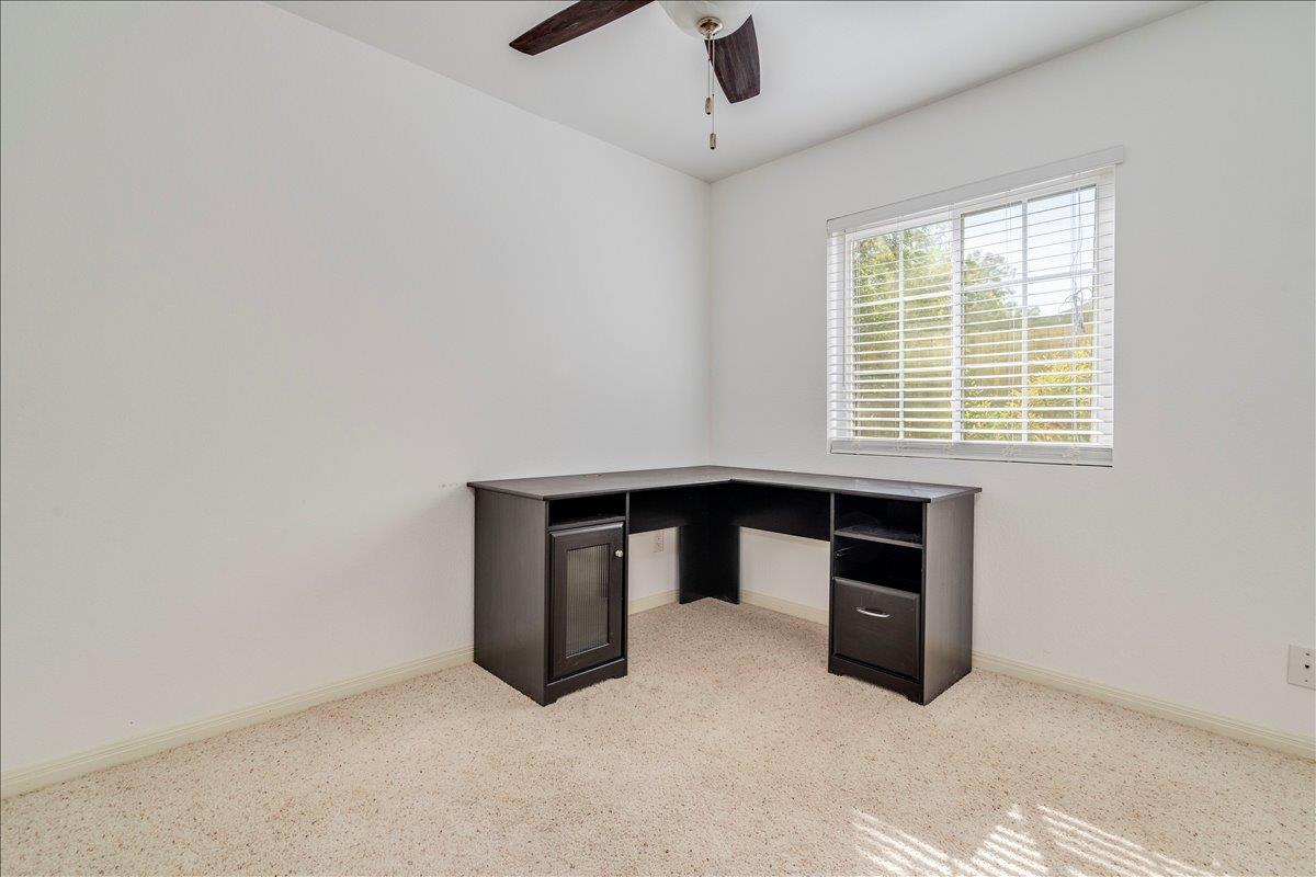 3111 Festus Dr Property Photo 15