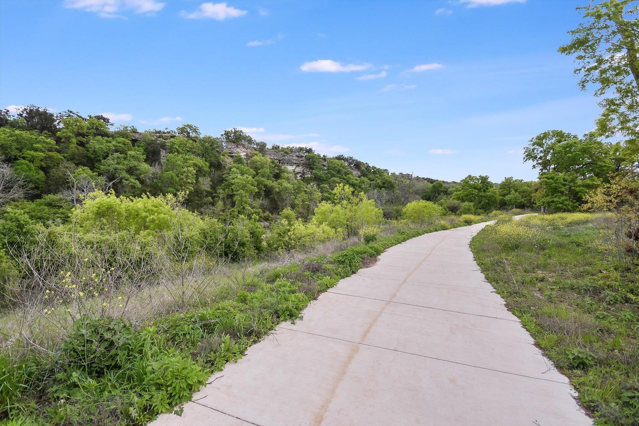 1013 Bear Track Loop Property Photo 29