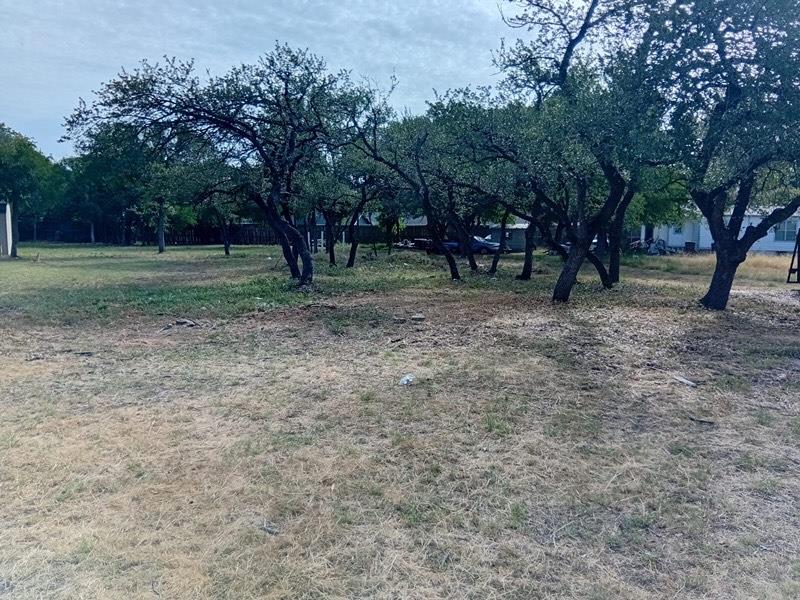 1325 Old Austin Rock Rd Property Photo 4