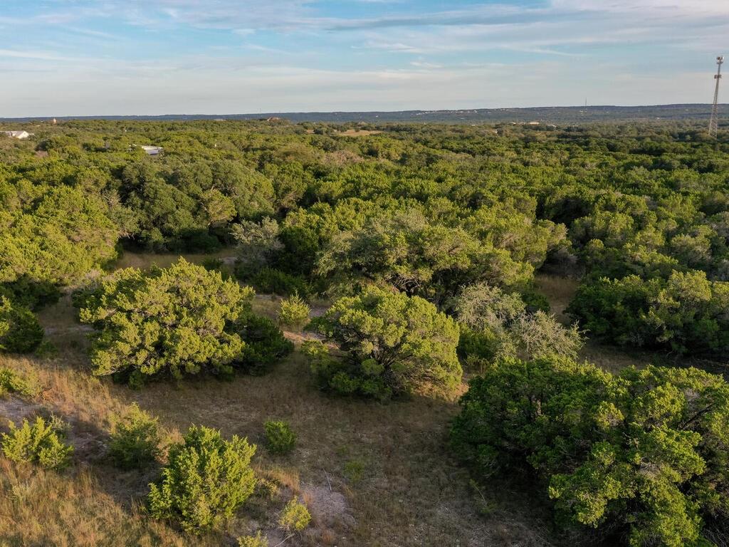 19.84 Acres Off Rr 12 & Mirela Anne Property Photo 3