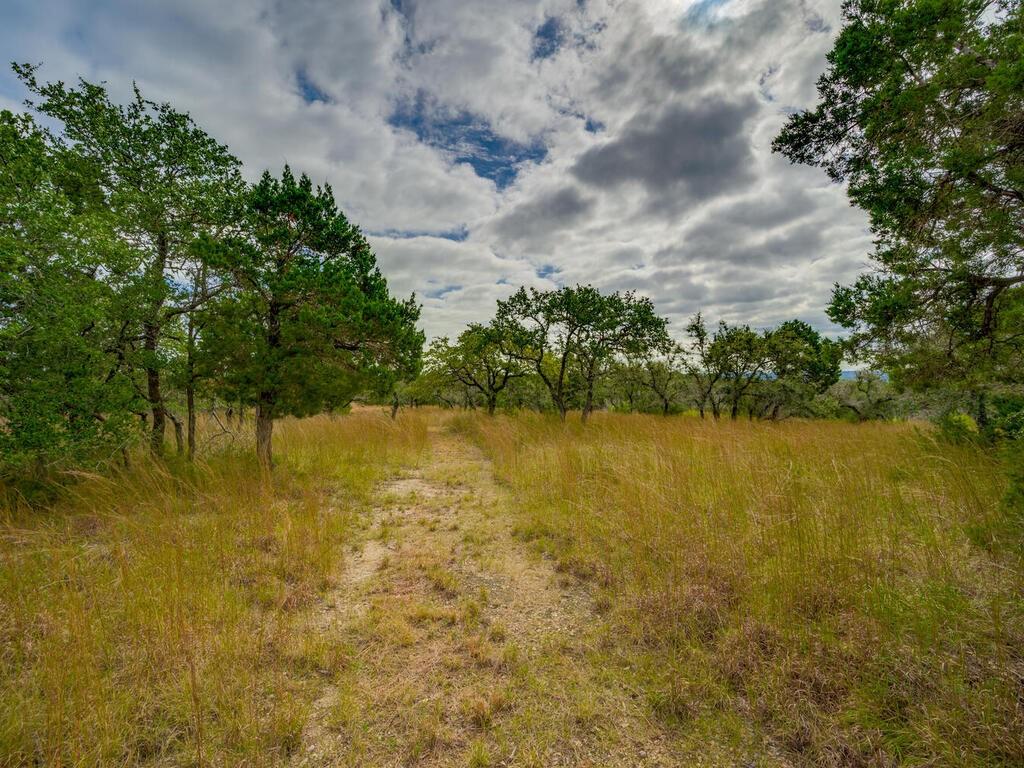 19.84 Acres Off Rr 12 & Mirela Anne Property Photo 13