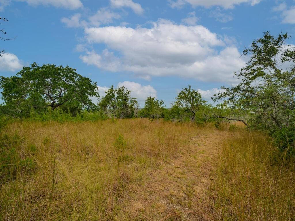 19.84 Acres Off Rr 12 & Mirela Anne Property Photo 14